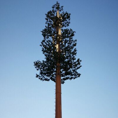 30M Bionic Tree Tower ที่ออกแบบมาเพื่อเลียนแบบต้นไม้ธรรมชาติด้วยวัสดุที่ยั่งยืนและติดตั้งแอนเทนเนียเพื่อโทรคมนาคม