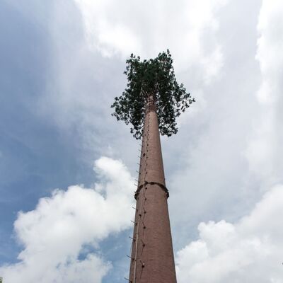 36M Bionic Tree Tower พร้อมกิ่งไม้ประดิษฐ์จากไฟเบอร์กลาสที่ทนทาน สาขาและใบไม้ที่มีแพลตฟอร์มซ่อนไว้สําหรับแอนเทนน์ 5G และเซ็นเซอร์สิ่งแวดล้อม