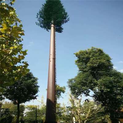 หอคอยต้นไม้ไบโอนิคพร้อมการจัดการสายเคเบิลในตัวและแท่นซ่อนที่รองรับอุปกรณ์โทรคมนาคมไมโครเวฟและการตรวจสอบสิ่งแวดล้อม