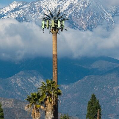 Bionic Tree Tower ส่วนประกอบแบบจําหน่ายได้ตามความสูงและสายพันธุ์ต้นไม้ เพื่อให้เหมาะสมกับความต้องการด้านภูมิทัศน์ที่หลากหลาย