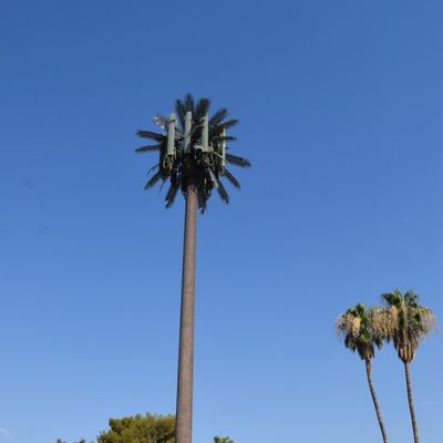 15 20 25 30 35 40 45M Hot Dip Galvanized Covered Fake Tree โทรศัพท์มือถือหอคอย Bionic Cypress โมโนโปล์หอคอย