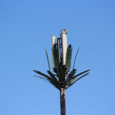 15 20 25 30 35 40 45M Hot Dip Galvanized Covered Fake Tree โทรศัพท์มือถือหอคอย Bionic Cypress โมโนโปล์หอคอย