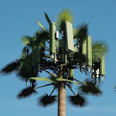 แกลนไซด์ GSM โทรศัพท์มือถือ บิโอนิค พาล์มทรี แอนเทนน่า ทาวเวอร์ ต้นเดียว 5g Tower Camouflage