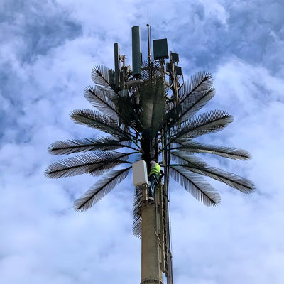 แกลนไซด์ GSM โทรศัพท์มือถือ บิโอนิค พาล์มทรี แอนเทนน่า ทาวเวอร์ ต้นเดียว 5g Tower Camouflage