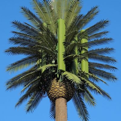 ปรับแต่ง 20m-50m การสื่อสาร โมโนโปลีไม้ประดิษฐ์ หัวหินโทรคมนาคม Palm Bionic Disguise Tower