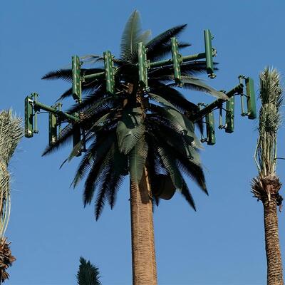 ส่วนประกอบโครงสร้างของหอคอยต้นไม้ชีวภาพได้รับการทดสอบความแข็งแรงต่อแรงยืด ความแข็งแรงต่อแรงกระแทก และความแข็งแรงต่อการคราก เพื่อรับประกันประสิทธิภาพ