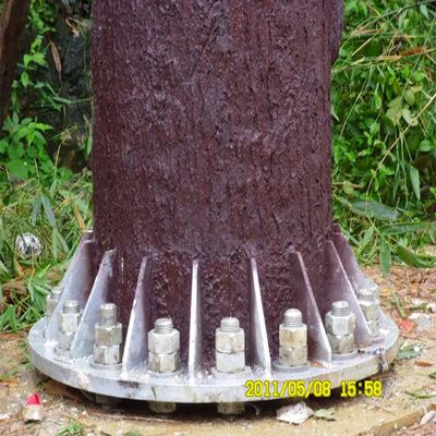 10 16 22M ย่านที่อยู่อาศัย Bionic Tree เหล็กชุบสังกะสีพรางตัวรองรับกลางแจ้ง 5G 4G Wifi Telecom Tower