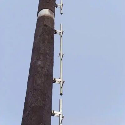 Bionic Tree Tower พร้อมแอนเทนเน่ติดตั้ง การจัดการเคเบิลและแพลตฟอร์มซ่อนที่สามารถปรับปรุงความสูงและสายพันธุ์ต้นไม้เพื่อความสอดคล้องกับภูมิทัศน์