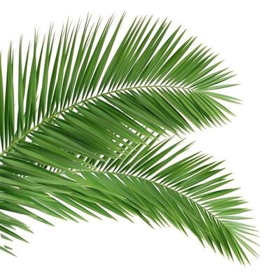 หอคอยต้นไม้ไบโอนิค รูปลักษณ์คล้ายต้นไม้ มีกิ่งและลำต้นไฟเบอร์กลาสเพื่อการผสมผสานกับภูมิทัศน์อย่างลงตัว