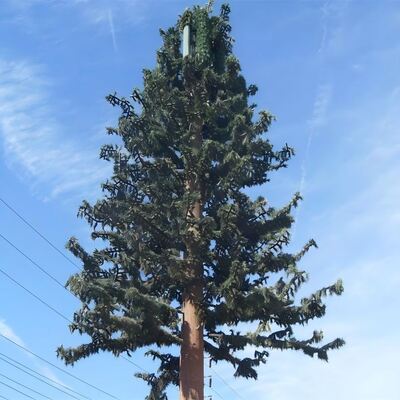 Bionic Tree Tower ส่วนประกอบแบบจําหน่ายได้ตามความสูงและสายพันธุ์ต้นไม้ เพื่อให้เหมาะสมกับความต้องการด้านภูมิทัศน์ที่หลากหลาย