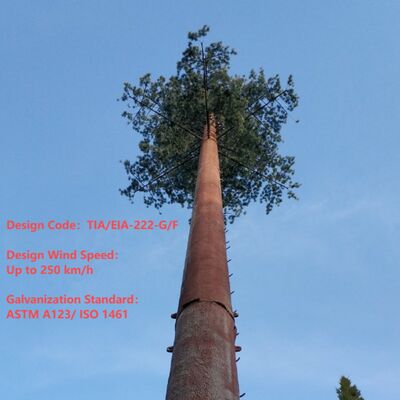 บิโอนิค ทาวเวอร์ไม้เทียมกับ ANSI TIA 222 G H F และ EN 1991 1 4 EN 1993 3 1 รหัสการออกแบบสําหรับโครงสร้างพื้นฐาน