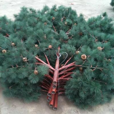 Bionic Tree Tower structure steel grades include ASTM A36 ASTM A572 Gr50 and EN10025 S235JR S355JR for versatile application needs