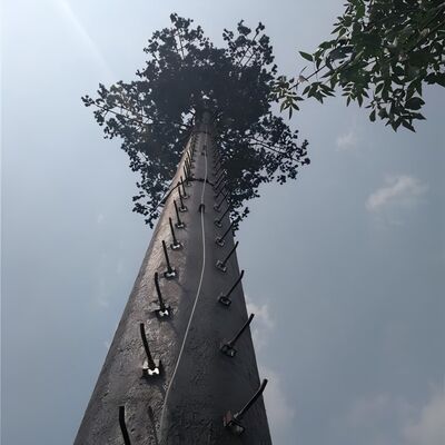 18 27 35 เมตรทาวเวอร์โทรคมนาคมต้นปาล์มพรางสำหรับภูมิทัศน์โรงแรมรีสอร์ท