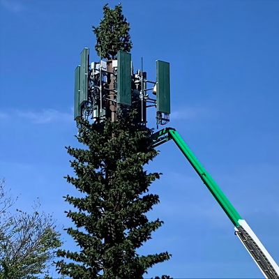 หอคอยต้นสนไบโอนิคพรางตัวเป็นมิตรกับสิ่งแวดล้อมสำหรับเครือข่ายไร้สาย 5G บูรณาการความงามโรงงานเสาสื่อสารไบโอนิคต้นปาล์ม